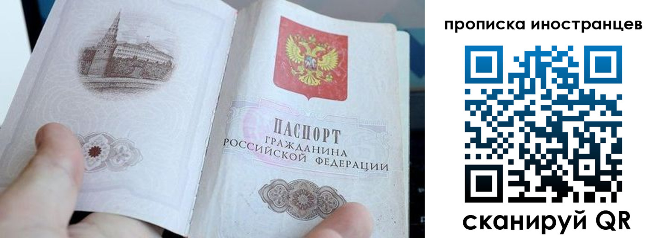прописка поиск в Менделеевске